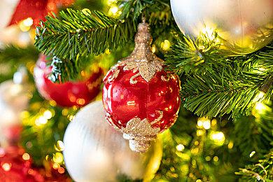 《四海兄弟》女配音演员确认新作已在开发中