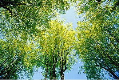 《ENDLESS DAYS Z》Steam上线 僵尸末日生存